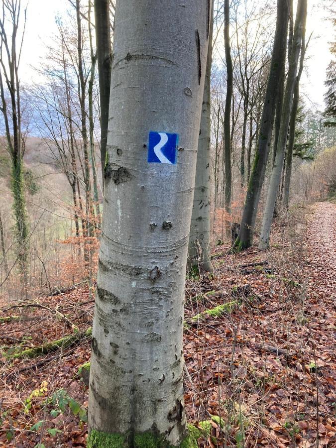 Rhein-wald-und Weitsicht Apartment *